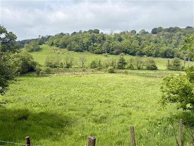 Picture 38